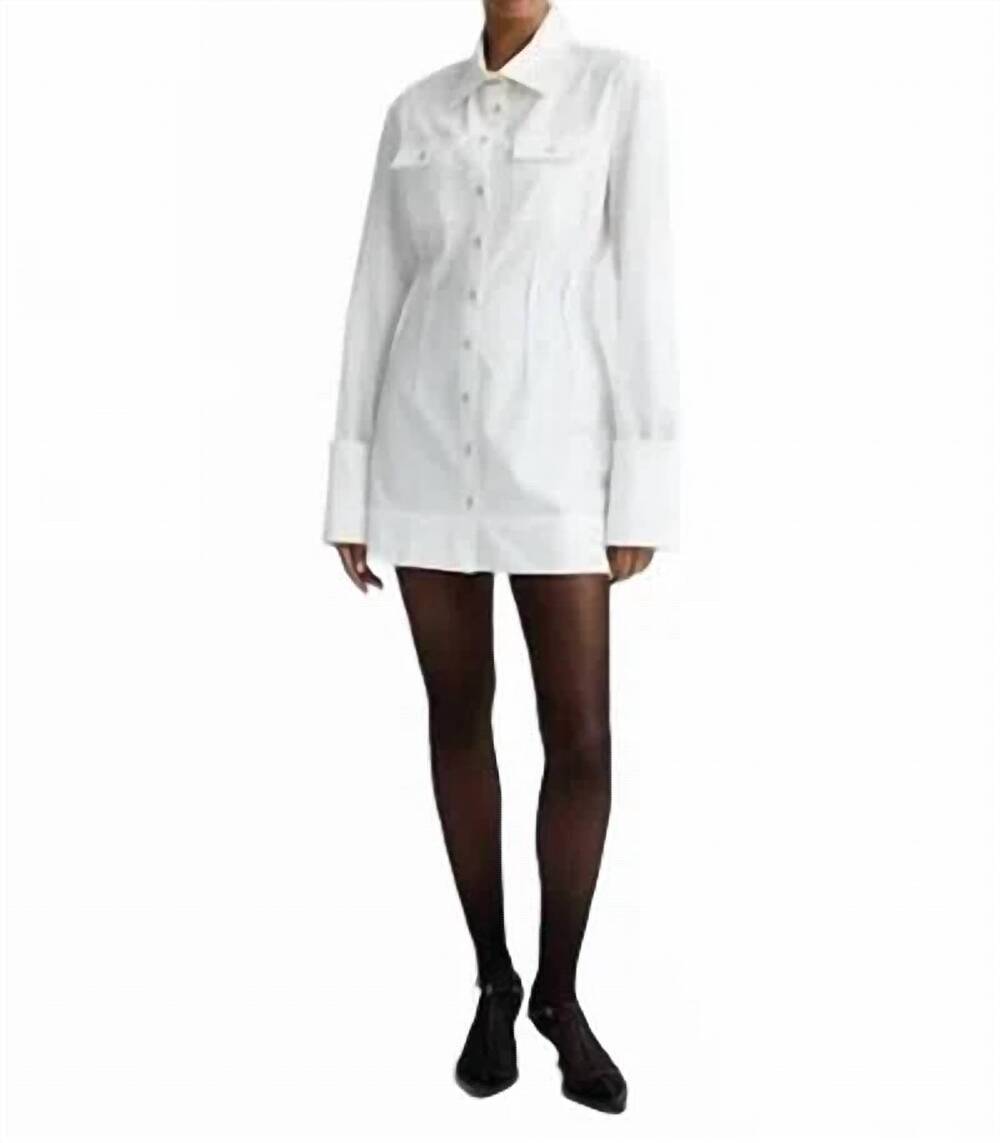NEW ANNA QUAN hillary mini dress in swan